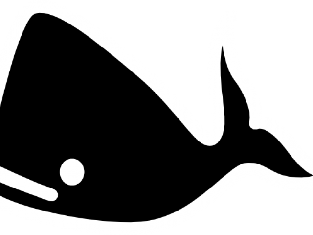 Blue Whale (640x480), Png Download