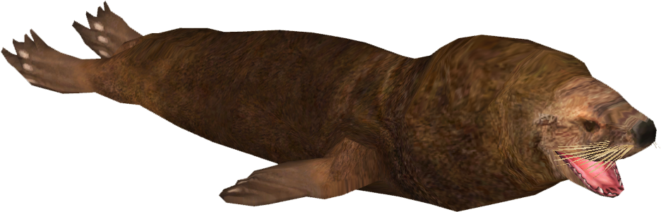 South American Sea Lion - Steller Sea Lion (935x935), Png Download