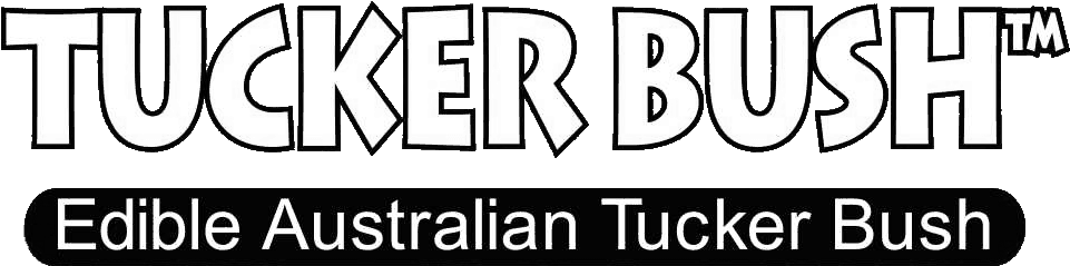 Tucker Bush Is A Range Of Australian Native Plants - Bootstrap (1072x354), Png Download