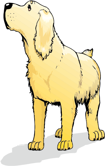 842 X 596 5 - Ancient Dog Breeds (842x596), Png Download