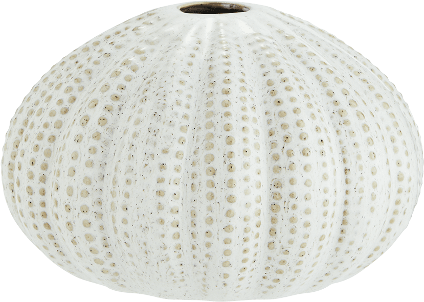 Off White Sea Urchin Vase - Ceiling Fixture (1200x1200), Png Download