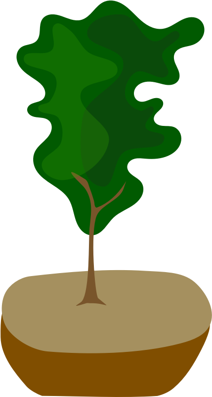 Tree In Pot - Bonsai (800x800), Png Download