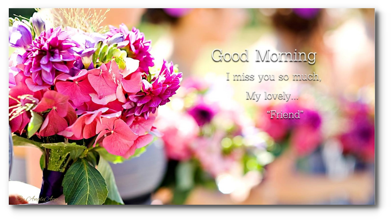 Good Morning & Good Night Beautiful Flower - Good Morning And Good Night Flowers (1280x720), Png Download