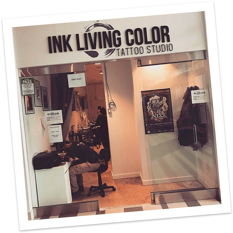 Ink Living Color Tattoo Studio - Book Cover (800x800), Png Download