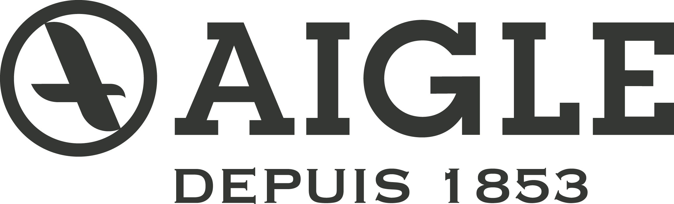 Asics Logo Png (2303x699), Png Download