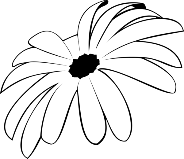 Spider Mum Rubber Stamp - Chamomile (600x520), Png Download