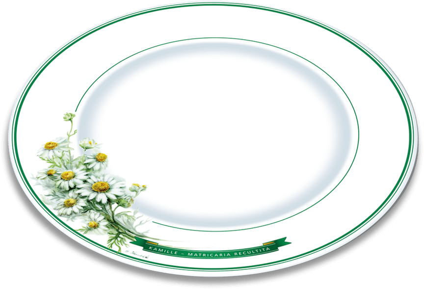 Herbal Motif Plate Chamomile - Plate (900x654), Png Download