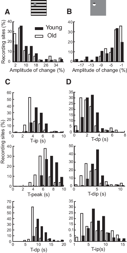 Histograms Are Presented Of Amplitude And Temporal - Diagram (408x810), Png Download