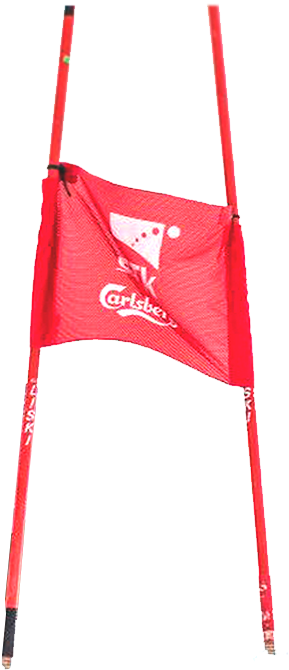 Member Of The National Team For Alpine Skiing Image - Carmine (755x739), Png Download