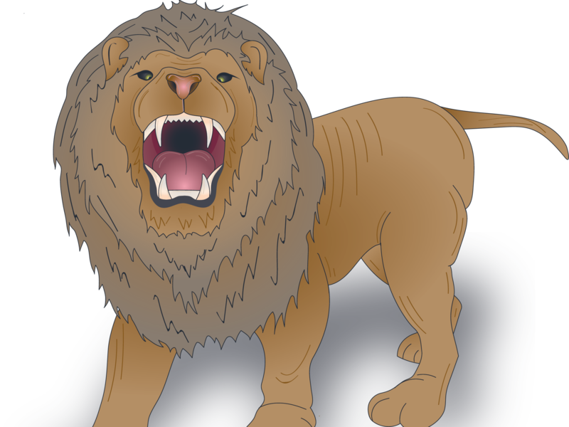 Lion (800x600), Png Download