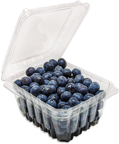 Hinged Blueberry Container - Bilberry (630x507), Png Download