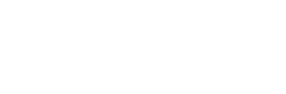 Spots Galore Noborder - Twitter White Bird Logo (1000x331), Png Download
