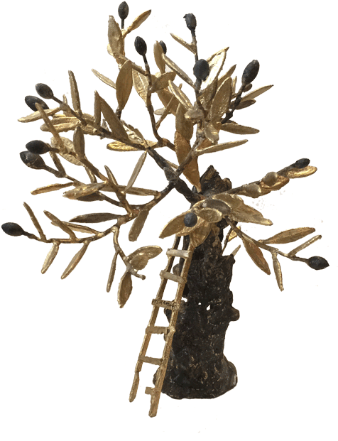 Bronze Olive Tree - Pine Family (652x652), Png Download