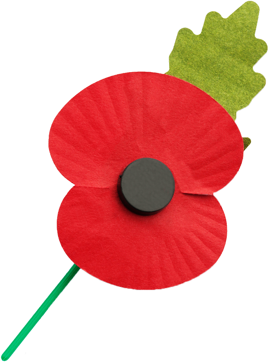 Go To Image - Poppy (971x1257), Png Download