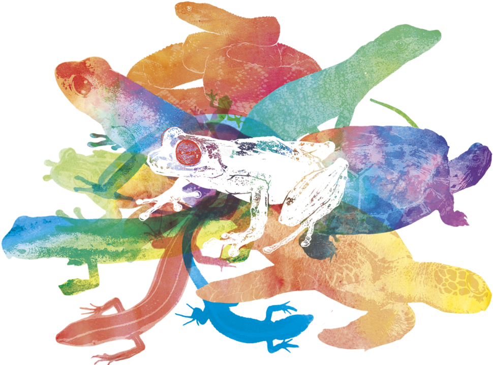 Compo Animales-1024x724 - Animal Figure (1024x724), Png Download