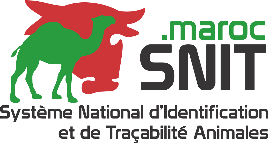 Maroc Was Launched To The Public In February 2015 To (1031x549), Png Download