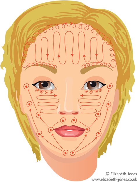 Ayurvedic Facial Massage Techniques - Illustration (485x640), Png Download