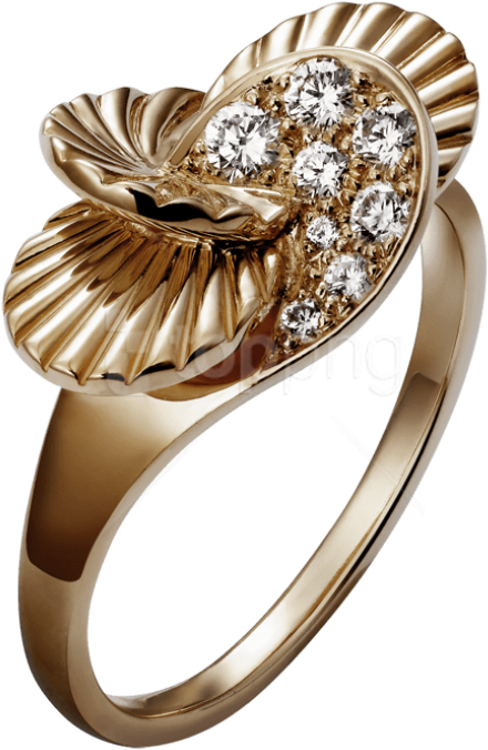 Free Png Download Elegant Golden Ring Clipart Png Photo - Elegant Ring Png (480x710), Png Download