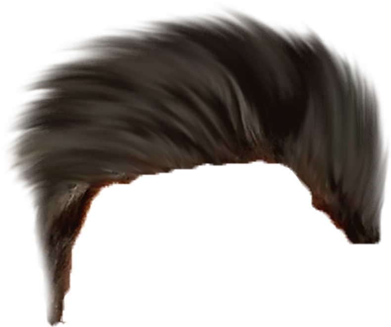 Hear Png ➤ Download - Horse (1170x1600), Png Download