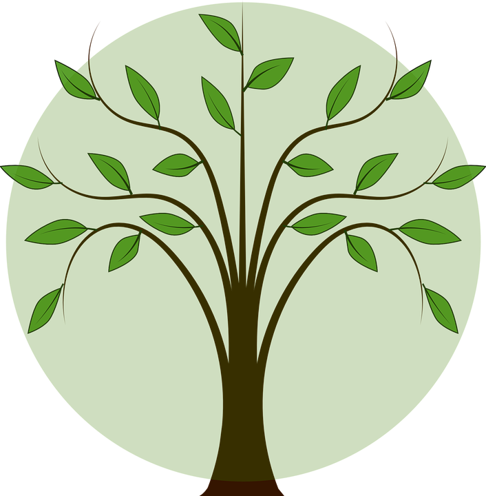 Folhas De Arvore Png - Arbol Con Ramas Y Hojas (706x720), Png Download