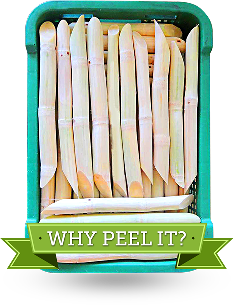 Cane Box Peel - Sugarcane Skin Peeling Machine In India (500x653), Png Download