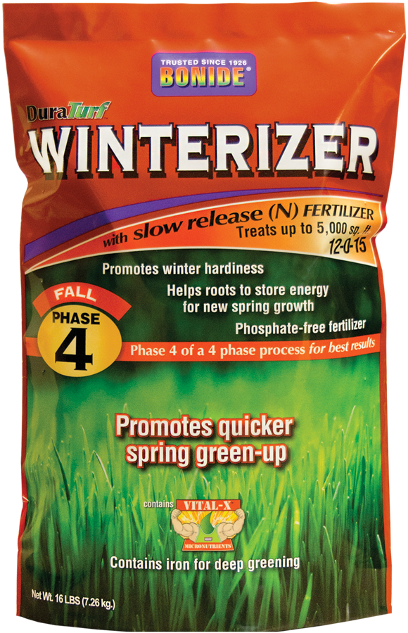 All 20% Off - Plant (580x900), Png Download