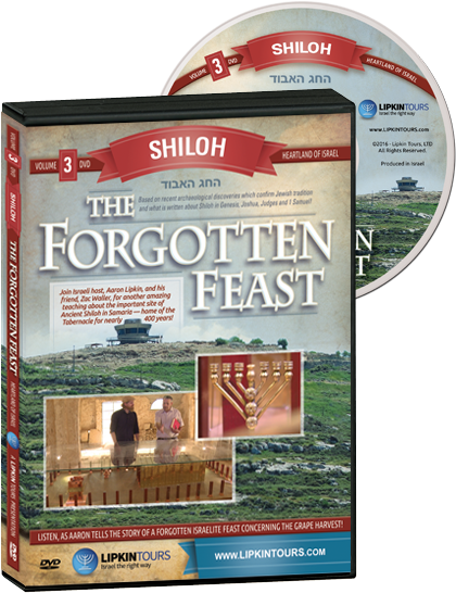 The - Flyer (600x600), Png Download