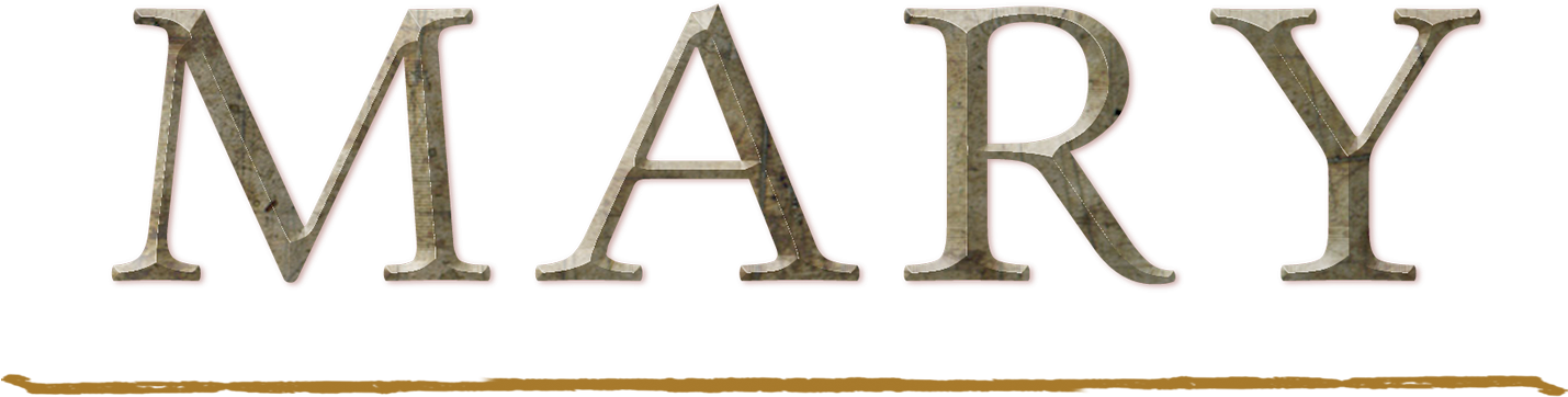 Plywood (1512x463), Png Download