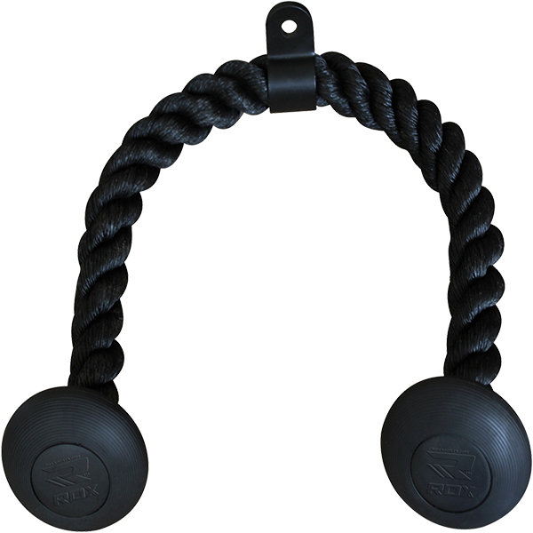 Gym Triceps Rope - Triceps Brachii Muscle (600x600), Png Download