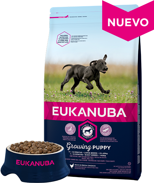Eukanuba Growing Puppy Medium Breed (640x640), Png Download