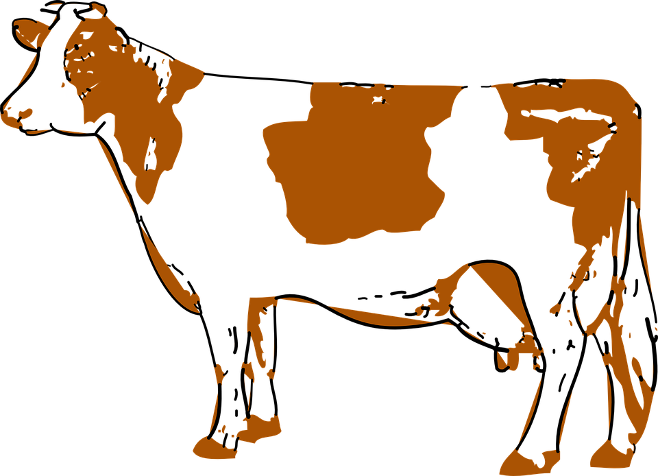 Cow Udder Company Milkers - Cartoon Png Cows Udder (960x694), Png Download