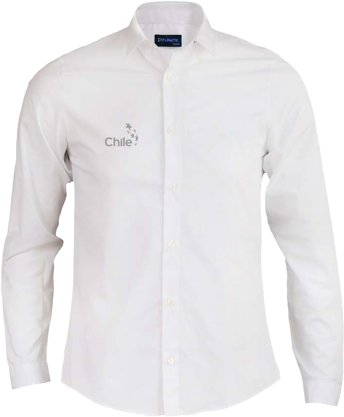 Camisa-bordado - Shirt (787x888), Png Download