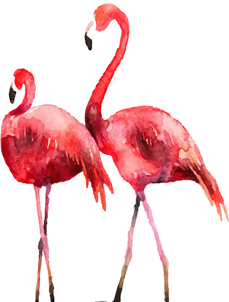 Pin By Eric Nguyen - Flamingo New Year 2019 (901x971), Png Download