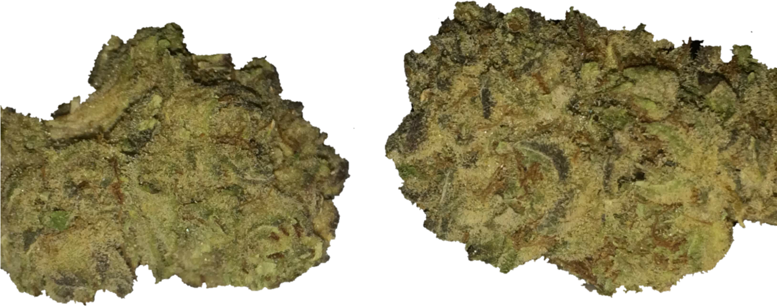 Candyland Review, Sativa Dominant By Jimmyinspazzz - Rock (1585x678), Png Download