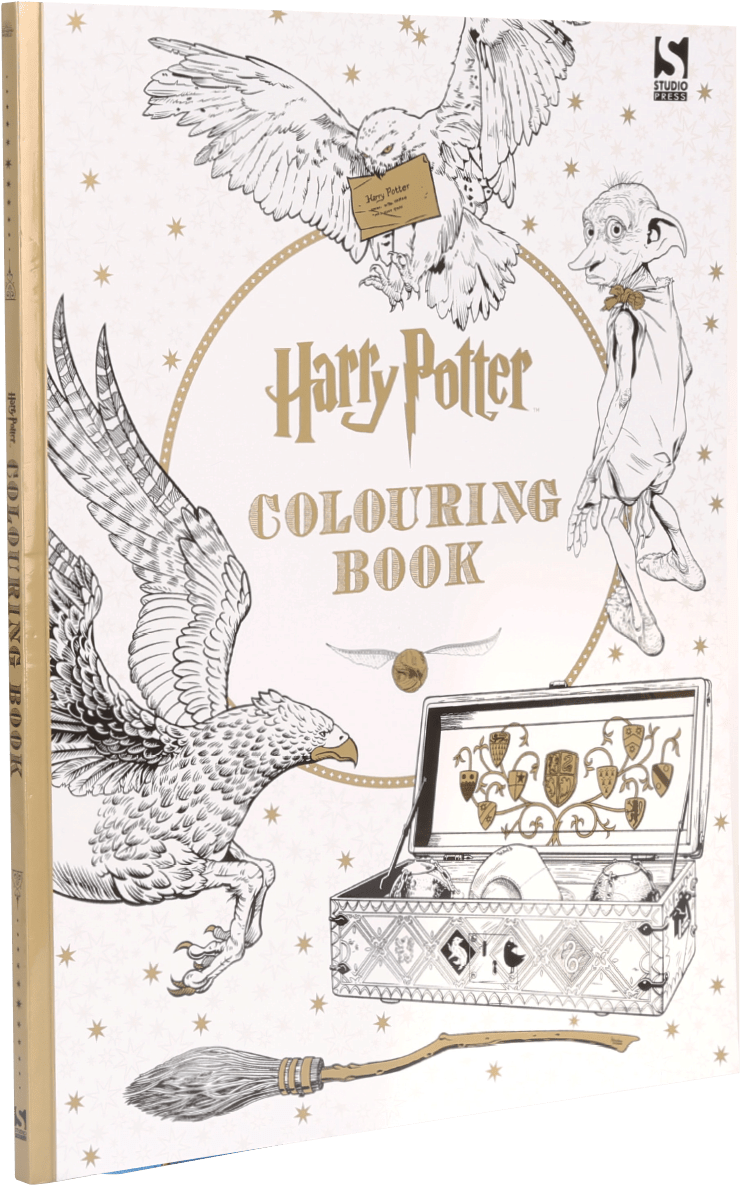 Https Harrypotterplatform934 Daily Https Www - Harry Potter (1055x1200), Png Download