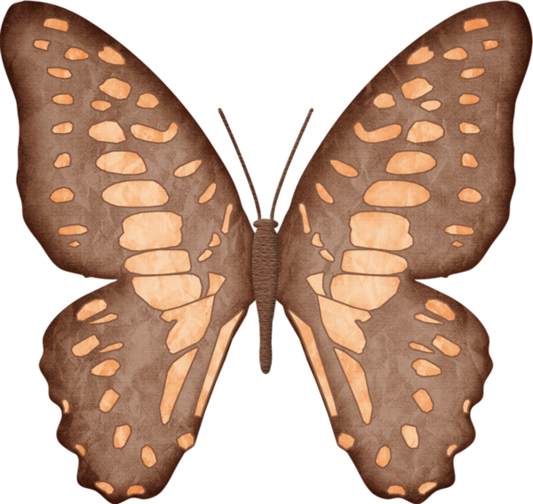 Publicat De Eu Ciresica La - Speckled Wood (butterfly (600x568), Png Download