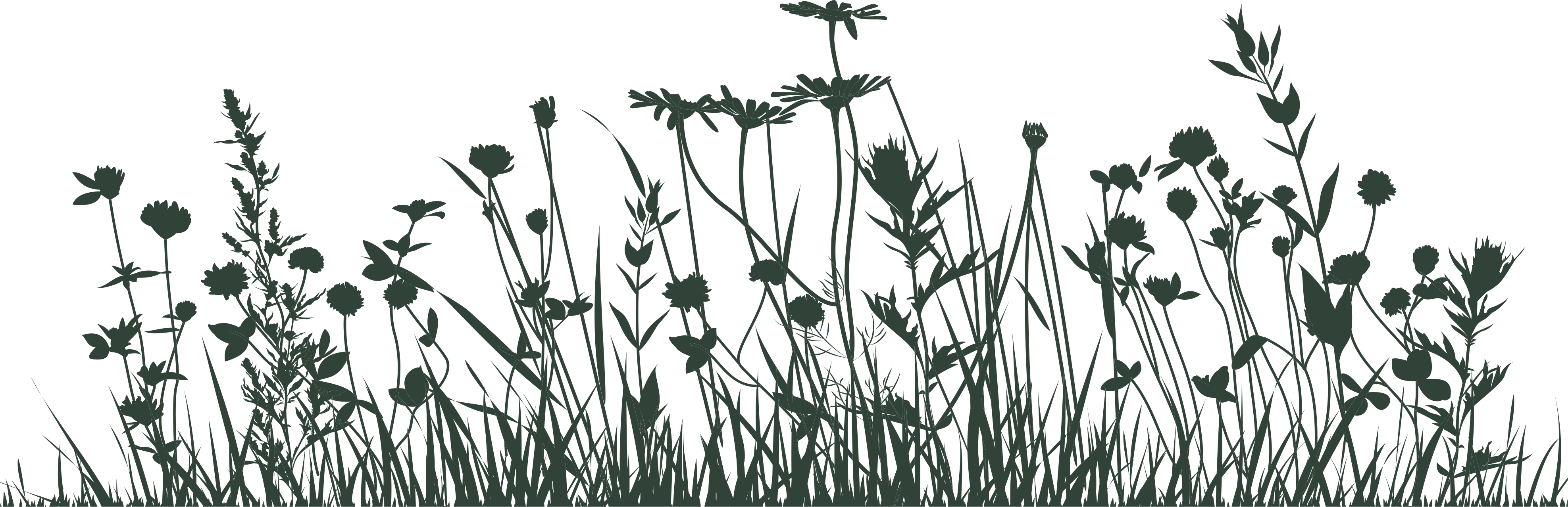 Silhouette (3951x1279), Png Download