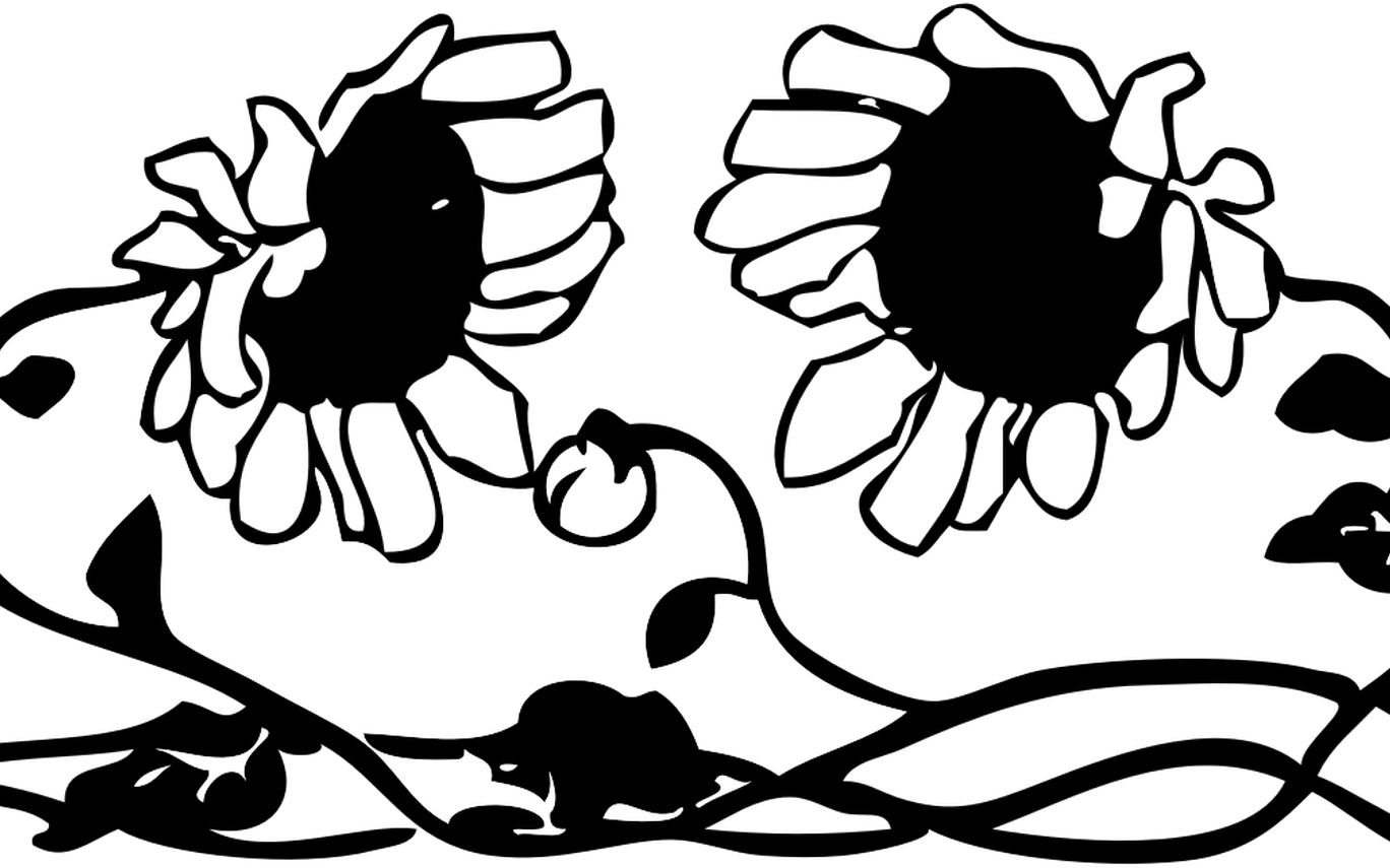 Sunflower Black And White Sunflower Border Clipart - Sunflower Border Clipart Black And White (1368x855), Png Download