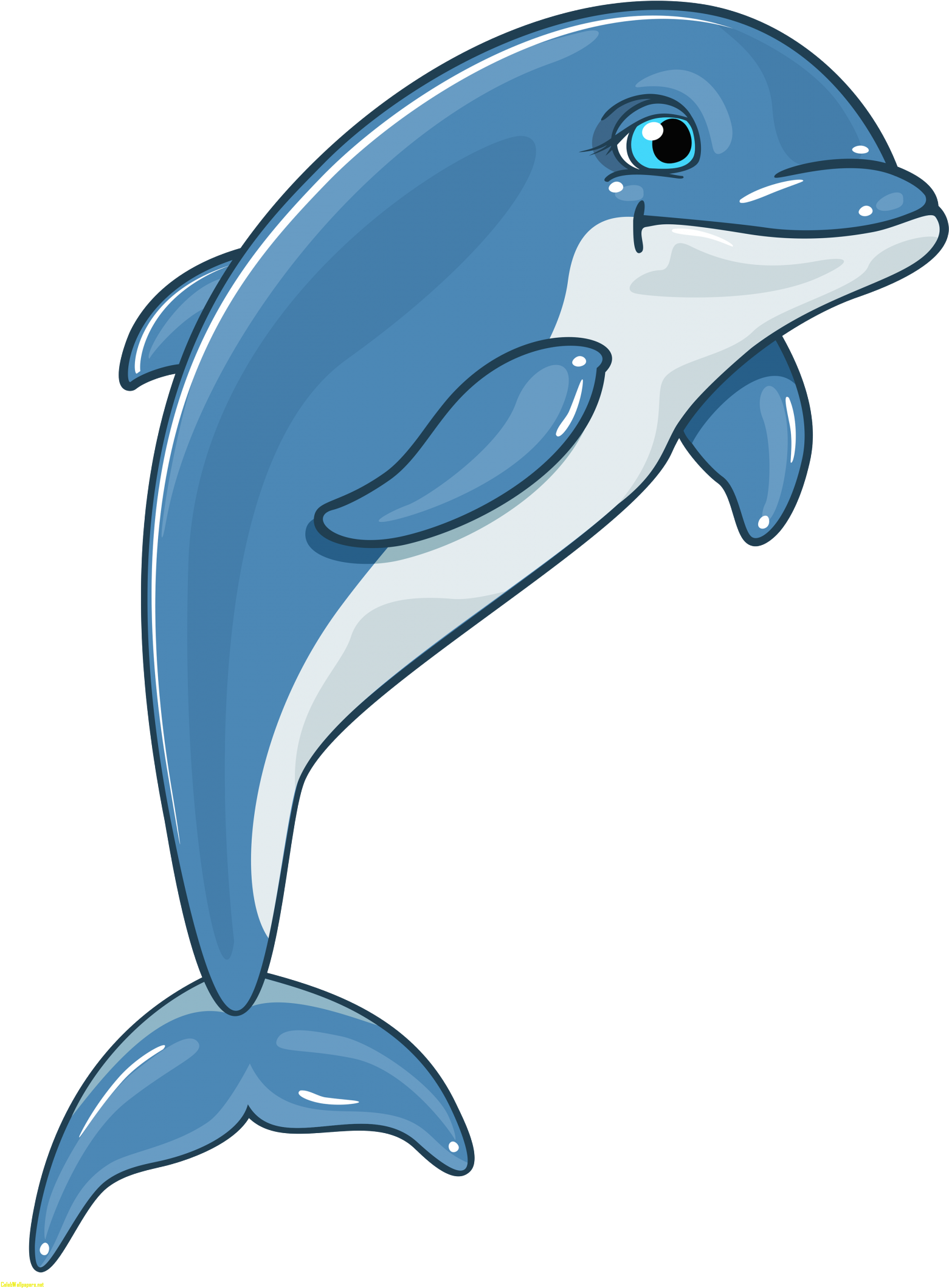 Dolphines Clipart Florida - Dolphin Clipart Png (1600x2200), Png Download