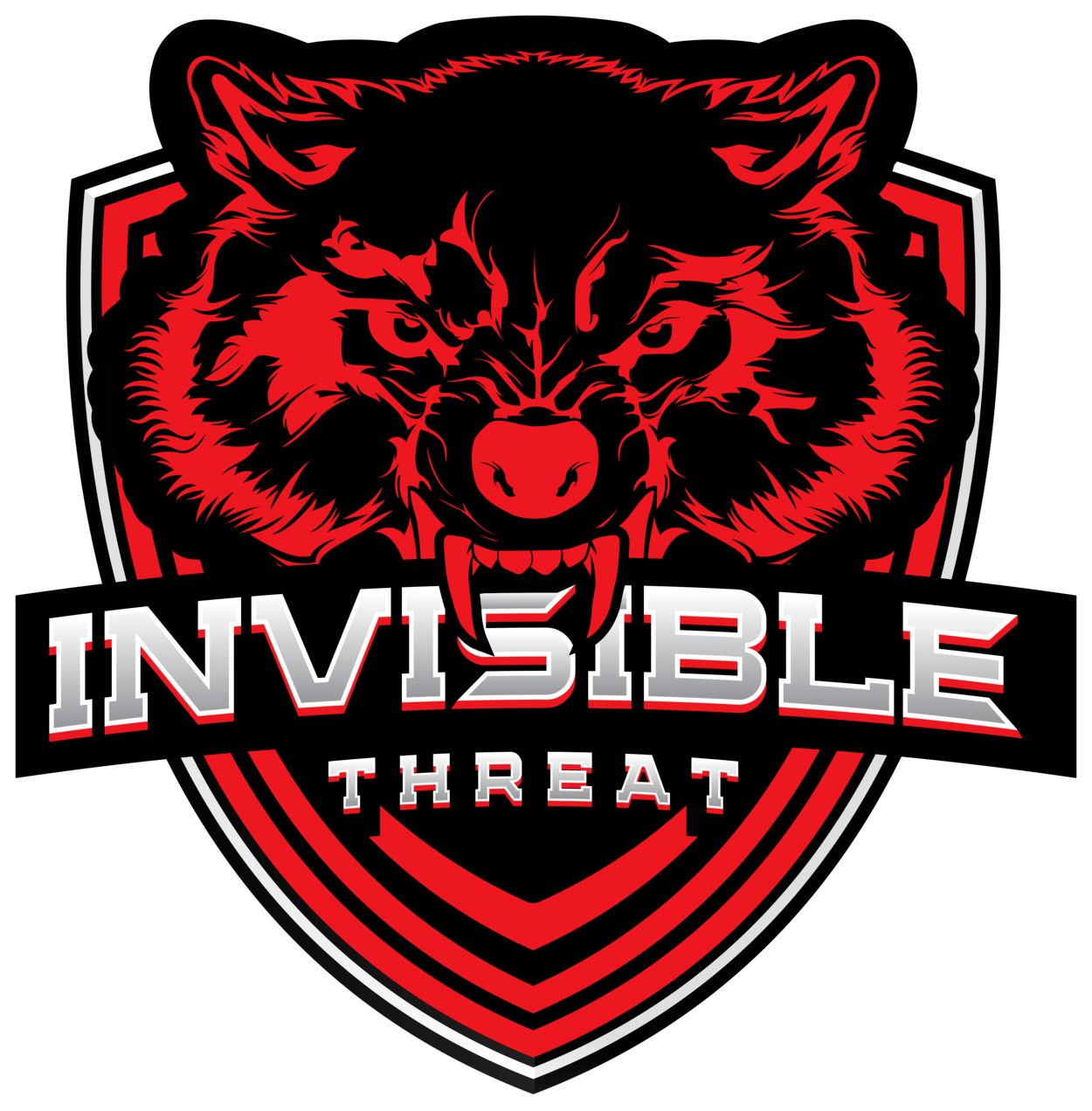 Invisible Team (1250x1272), Png Download