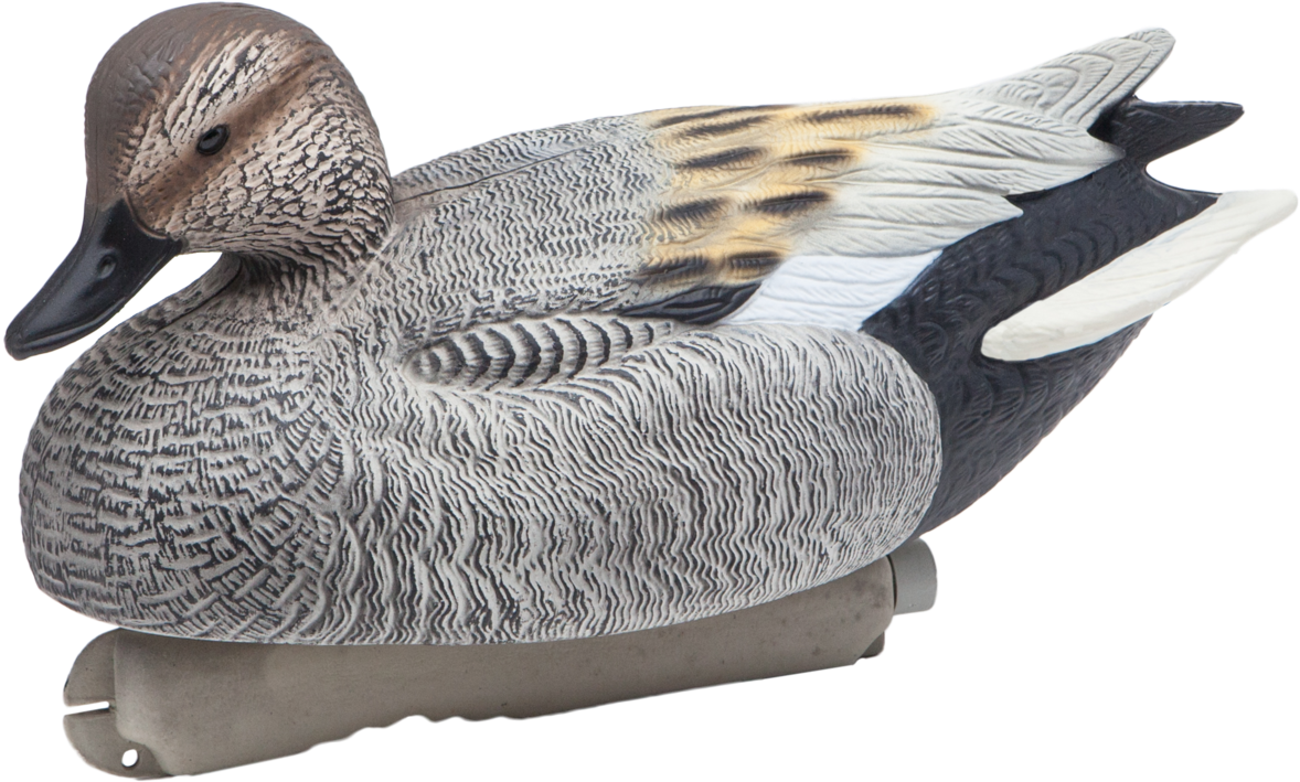 Floating Gadwall Drake Duck Hunting Decoy From Final - Mallard (2048x1602), Png Download