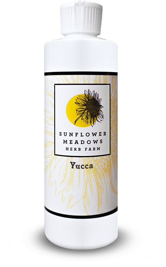 Yucca - Camomile (1000x1000), Png Download