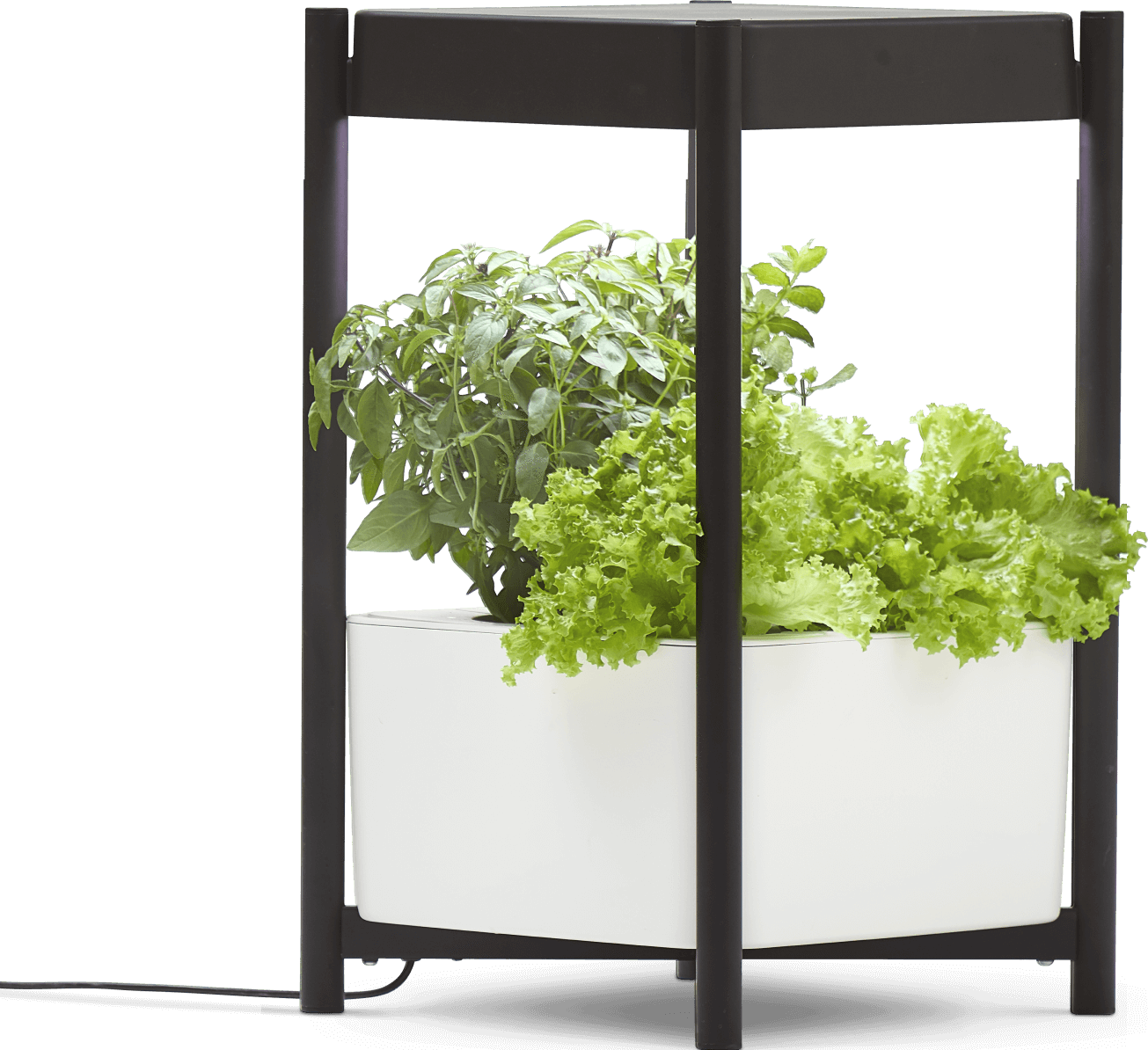 Miracle-gro® Twelve™ Indoor Growing System - Tree (1305x1194), Png Download