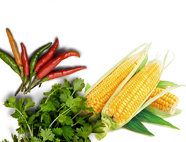 Bg Web Mobile Bottom - Corn On The Cob (770x589), Png Download