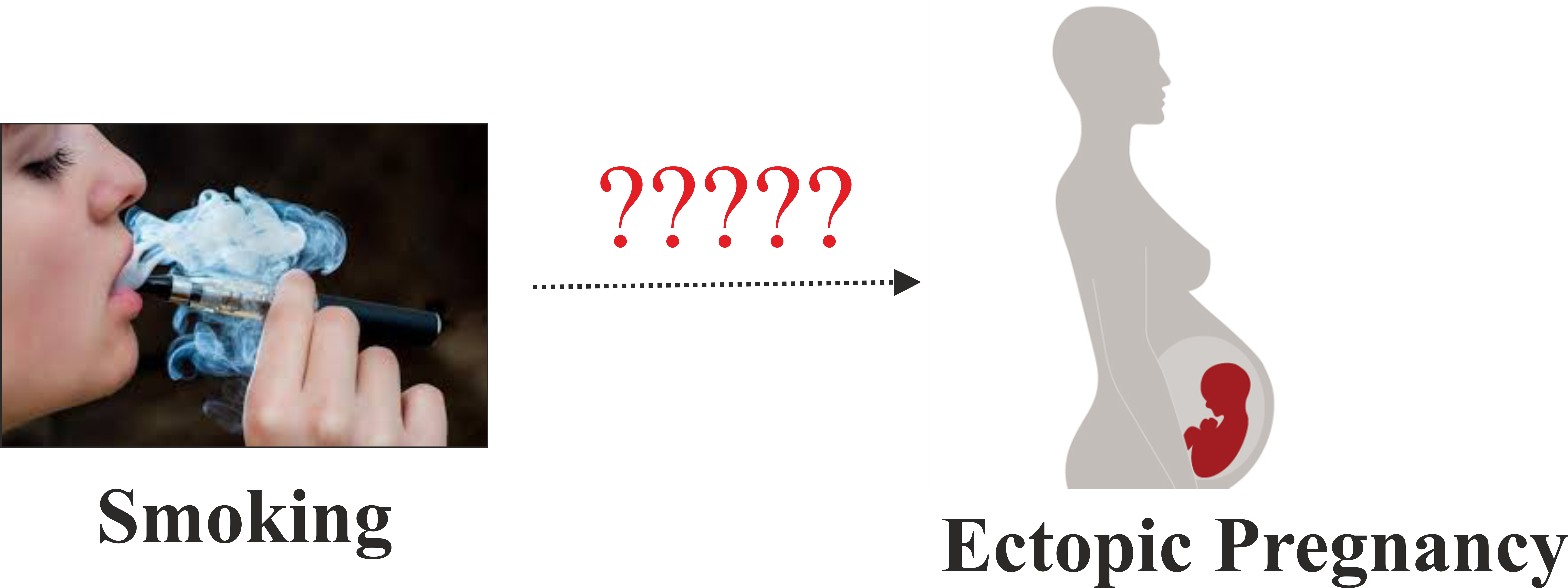 Does Smoking Cause Ectopic Pregnancy - No Smoking (8327x3123), Png Download