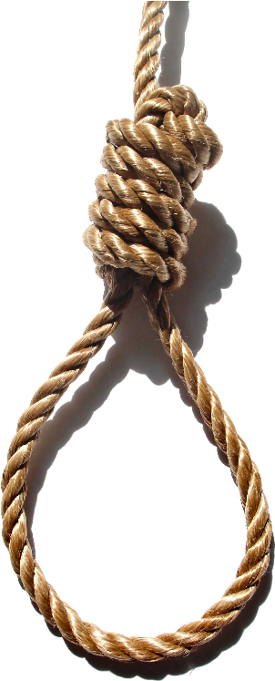 Horse Suicide Rope Knot Hanging Noose Grass Clipart - My Life Is Not Worth Living Without You (500x746), Png Download