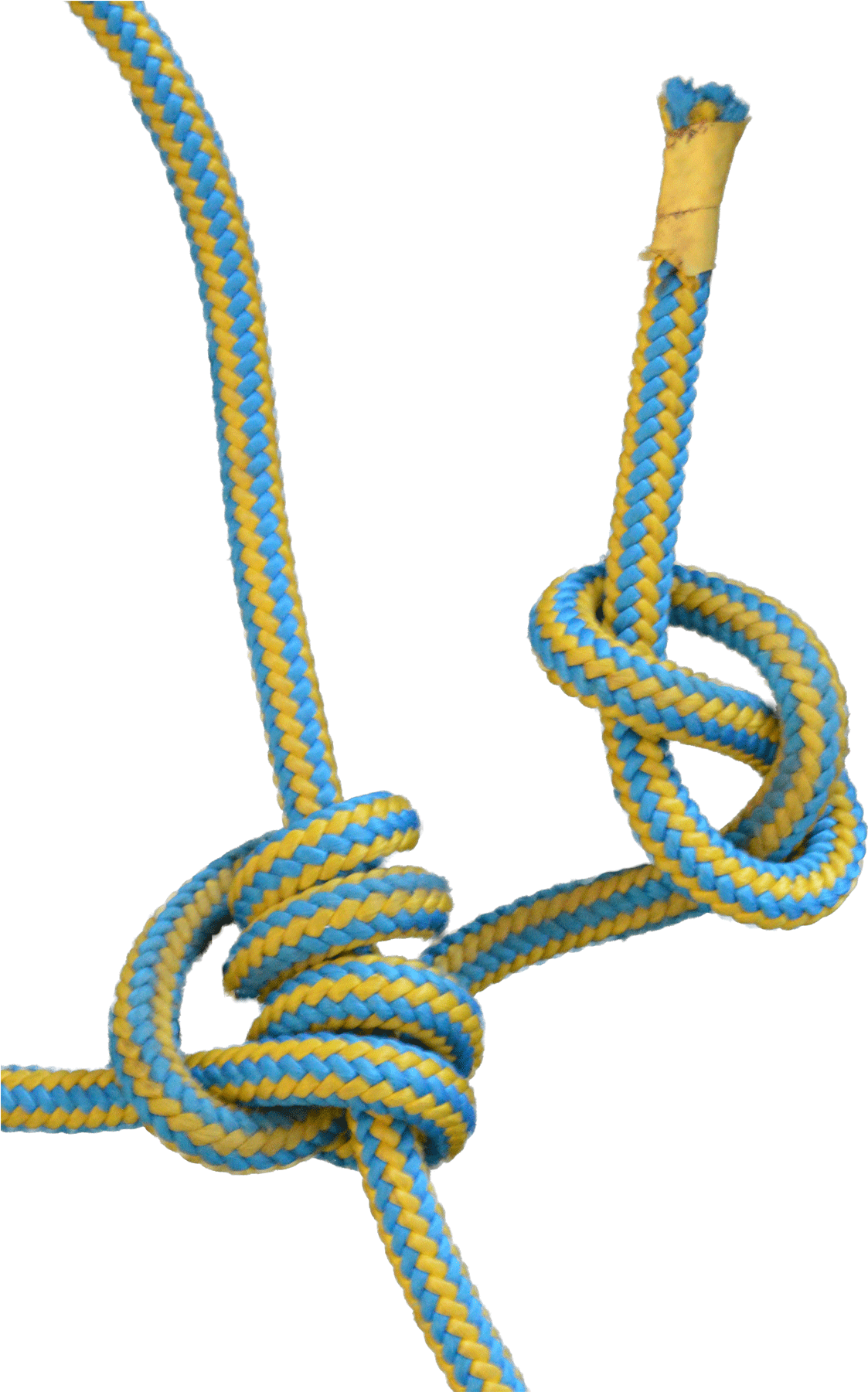 To Pull Yourself Up A Rope, It Is Extremely Helpful - Blake's Hitch Tree Climbing (1200x1800), Png Download