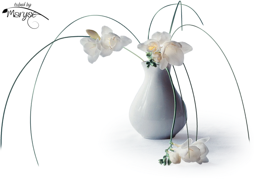 Psp Tubes & Créations De Maryse - Moth Orchid (911x639), Png Download
