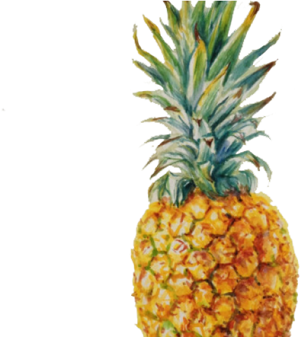 Pineapple Drawing Art (640x480), Png Download