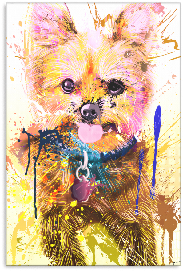 Yorkie Canvas P033 - Kitten (900x900), Png Download